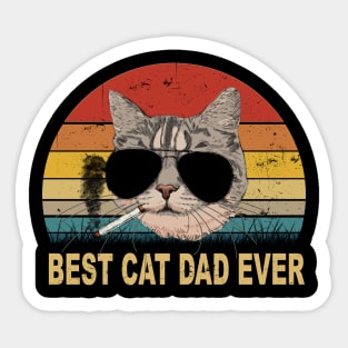 Best Cat Dad Ever Sticker